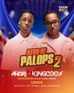 DJ Kingcoox / DJ Andri